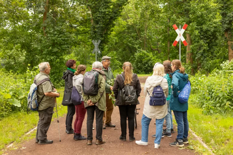 Pflanzenvielfalt in alten Parks 2.6.2024 Robert Schwabe