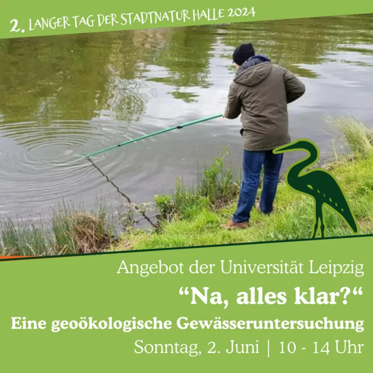 Instagram Sonntag vormittag 2024 - 21 (3)