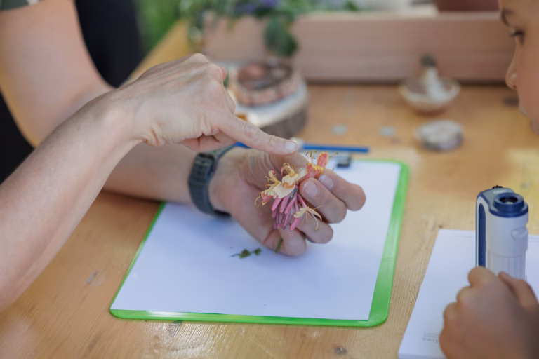 2026.05.29_Klein, kleiner, mikroskopisch_Robert Schwabe 01